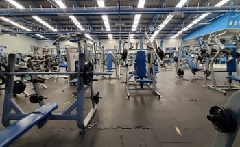 New Body Gym