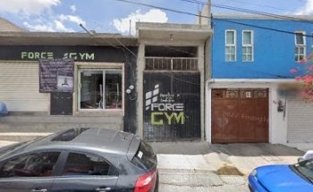 Force Gym