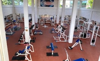 GYM PERFECT BODY