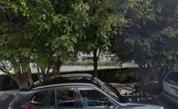 PureYogaStudio Bosques