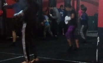 Prince fight cub