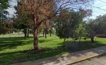 El Jardin del Zen