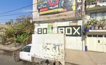 Box Los Cachorros