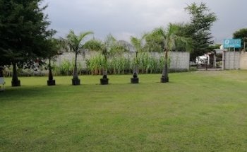 YOGA INTEGRAL DINÁMICO