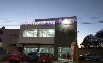 Evolution Gym & Fitness