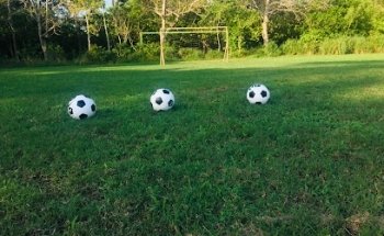 Campo