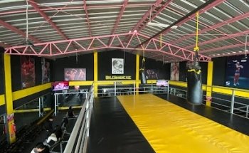 LION'S GYM KING