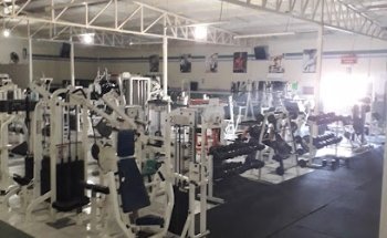 evolution Gym