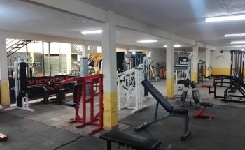 Vicenteño Gym
