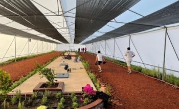 Invernadero Deportivo “El paraíso”