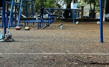 Barras Viveros
