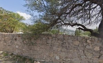 Corazón del Bosque