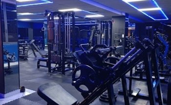 WOLF GYM ¡Be Brave - Be Alpha!