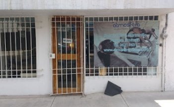 Altum Pilates
