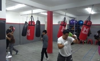 Fox Fitness