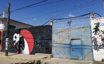 Pandas Training Club