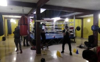 Club Hugo Box