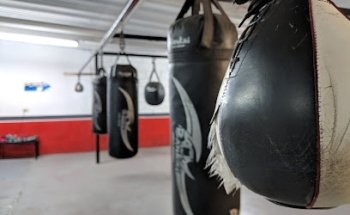 Fit Boxing Merino