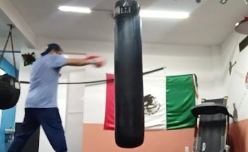 BOX GYM
