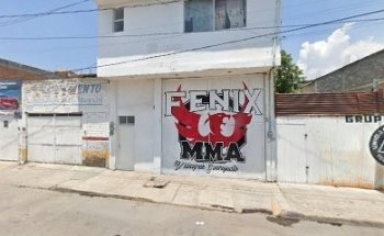 Fénix MMA