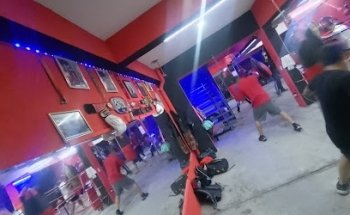 COBRAS BOX TRAININIG