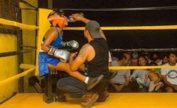 BOXING PITBULL´S TEAM