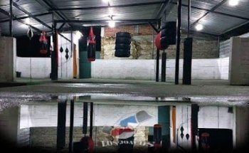 Escuela de boxeo 