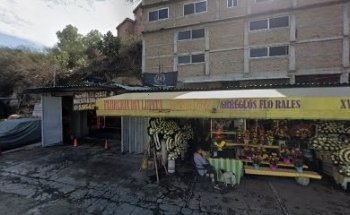 The Palace Boxing Mexico