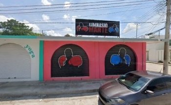 Gimnasio Mante
