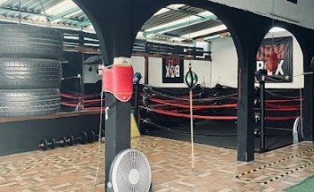 Unidad De Boxeo Mexicano