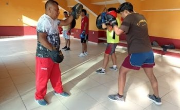 Escuela de Boxeo 