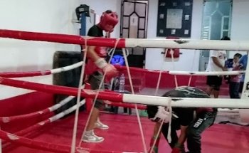 Box Saldivar
