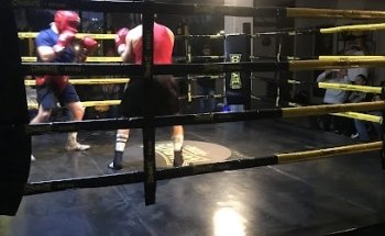 COMBATE BOXING