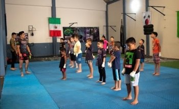 Mixcoatl Brasilian Fighting