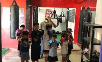 Wolf Boxing Gym