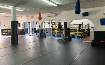 Regios Combat Academy