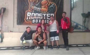Rooster Boxing