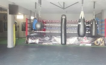 Gimnasio de box Sanchez Ayala