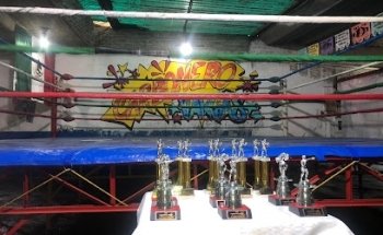 Escuela De Box Carbonero Vargas