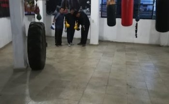 Club De Box Profesional Drago