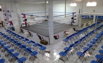 Zorrito Altamirano escuela de box