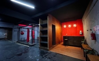 TantraBoxing