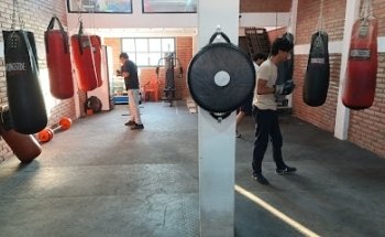 Basurto boxing