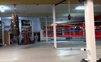 Box training junior