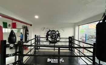Boxing Machine