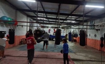 GALLOS BOXING GBQ