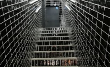 Black Box Providencia