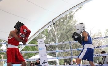 Boxeo larios