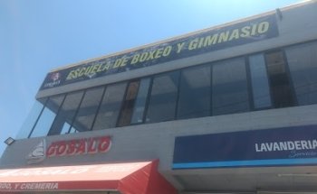 Box Y Gimnasio