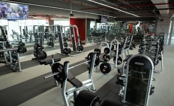 UFC GYM ARTZ